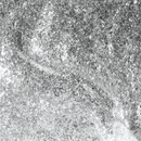 Apres - HEMA/TPO Free Gel Couleur .5 oz - New Year Wishes G09