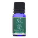 BCL - Essential Oil "Eucalyptus" .34oz