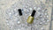 Apres pH Bonder 15 mL