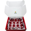 DM Gel Polish - Merry Christmas Collection Complete Set #01- #18 with Display HEMA/TPO FREE