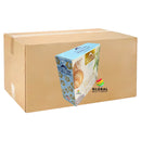 La Palm - Volcano Spa - Pedicure - Acacia Ocean Pearl (New Scent)