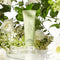 Voesh - Vegan Hand Creme 3oz - Green Tea