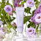 Voesh - Vegan Hand Creme 3oz - Lavender Land