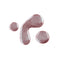 CND Shellac Gel Polish Frostbite 0.25 fl oz (Magical Botany Collection Holiday 2023)