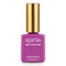 Apres - HEMA/TPO Free Gel Couleur .5 oz - Glass Orchid J05