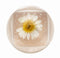 Blossom - Duo Lip Gloss, BLLGB-White 0.28oz #BL-80271