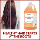 Moda - Honey & Almond Shampoo Gallon
