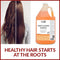 Moda - Honey & Almond Shampoo Gallon