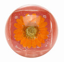 Blossom - Duo Lip Gloss, BLLGB-Orange 0.28oz