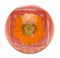 Blossom - Duo Lip Gloss, BLLGB-Orange 0.28oz #BL-80276