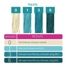 Punky Colour - 3-in-1 Color Depositing Shampoo + Conditioner "Tealistic"
