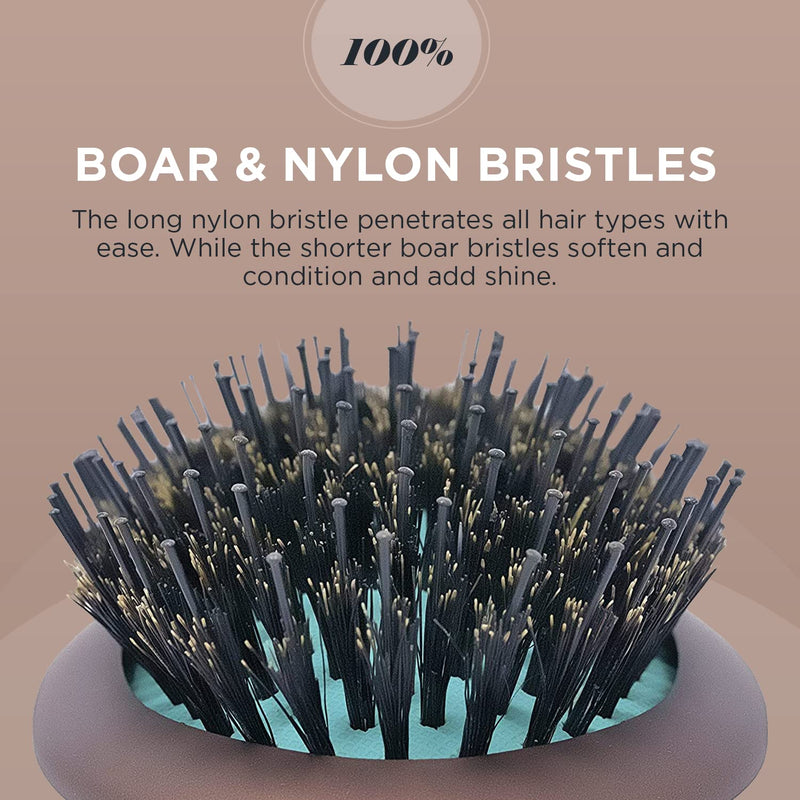 Spornette - Ion Fusion Cushion Oval Brush