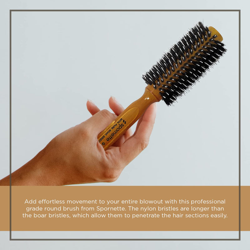 Spornette -  Porcupine W/ Pure Boar Bristle, Medium