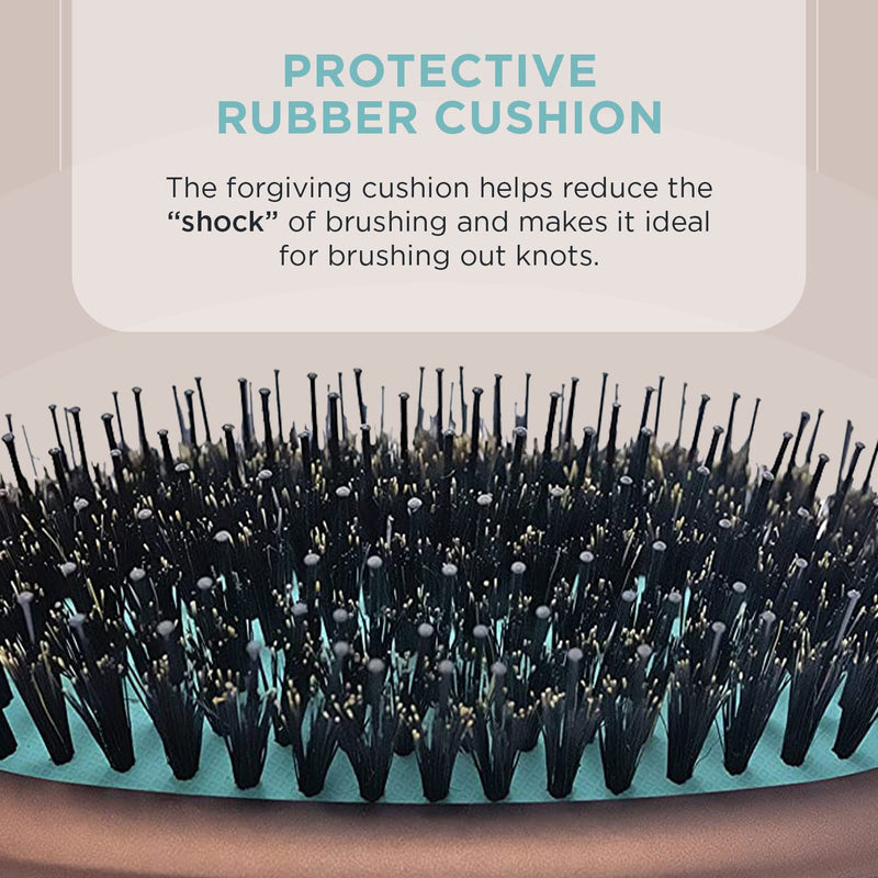 Spornette - Ion Fusion Cushion Oval Brush