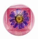 Blossom - Duo Lip Gloss, BLLGB-Purple 0.28oz