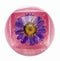 Blossom - Duo Lip Gloss, BLLGB-Purple 0.28oz #BL-80274