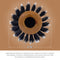 Spornette -  Porcupine W/ Pure Boar Bristle, 2.75in