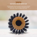Spornette -  Porcupine W/ Pure Boar Bristle, 2.75in
