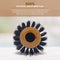 Spornette -  Porcupine W/ Pure Boar Bristle, 2.75in