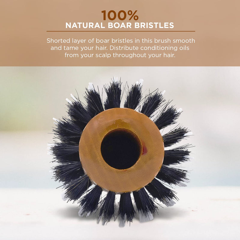 Spornette -  Porcupine W/ Pure Boar Bristle, 2.75in