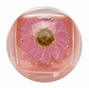 Blossom - Duo Lip Gloss, BLLGB-Pink 0.28oz