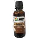 Botanical Escapes Fragrance Oil 1oz - Kahlua