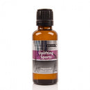 Botanical Escapes Fragrance Oil 1oz - Uplifting Sports