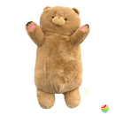 Fluffy Brown Bear Plush