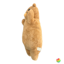 Fluffy Brown Bear Plush