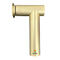 Electric Callus Remover FG10 - Gold