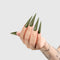 Chaun Legend Gel Polish - Peas And Love LG5231