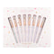 Kiara Sky Nail Art Brush Collection