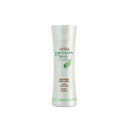 Body Drench - Green Tea + Bamboo Nourishing Body Lotion 12.5 fl.oz