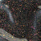 Apres Astral Gel Couleur .5 oz - Just A Phase FG07