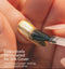 Apres Silk Seal 15mL