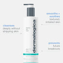 Dermalogica Acne Clearing Skin Wash 8.4 fl oz / 250 mL - Global Beauty Supply, LLC