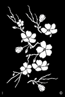 G Body Art - Cherry Blossom 1 Stencil