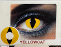 Cosmo Color Lenses - Lensmam Color Contacts