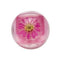 Blossom - Duo Lip Gloss, BLLGB-Magneta 0.28oz #BL-80275