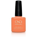 CND - Shellac Catch Of The Day (0.25 oz)