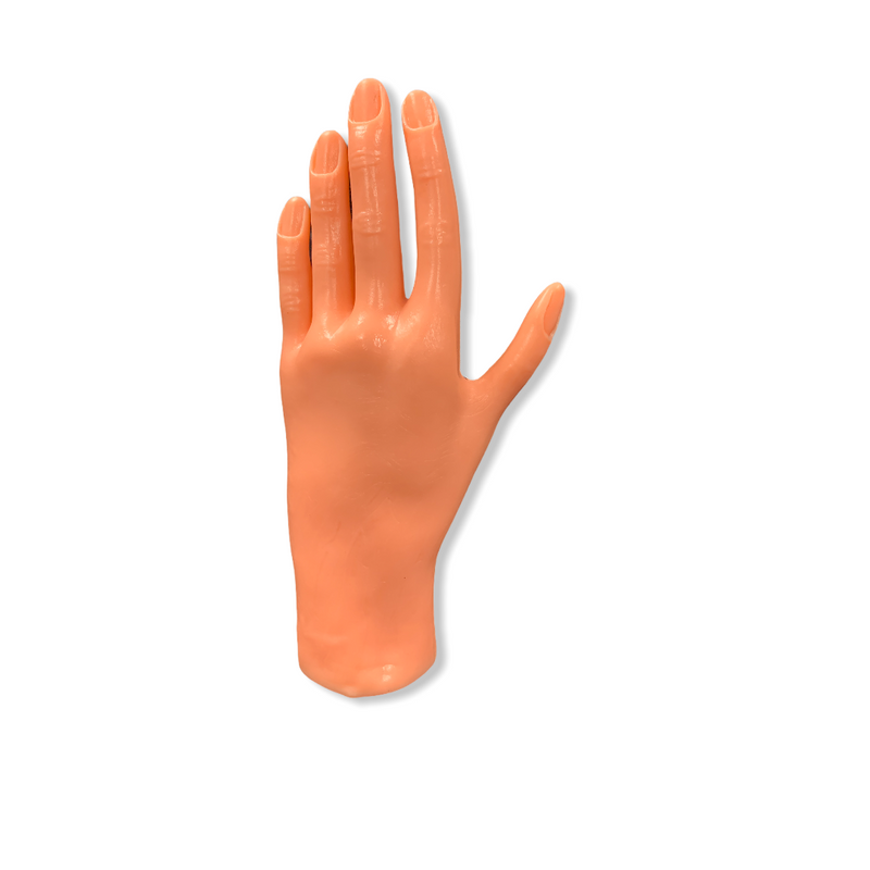 Practice (Mannequin) Hand H