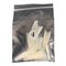 Coffin Ballerina (Straight Short) Nail Tips (NATURAL) 50ct/bag